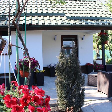 Casuta Artistilor Villa Breáza Kültér fotó