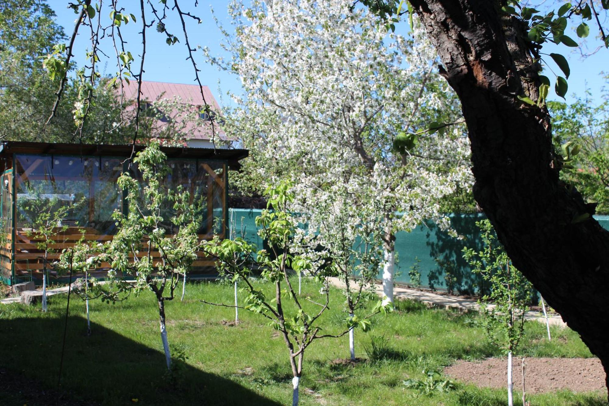 Casuta Artistilor Villa Breáza Kültér fotó