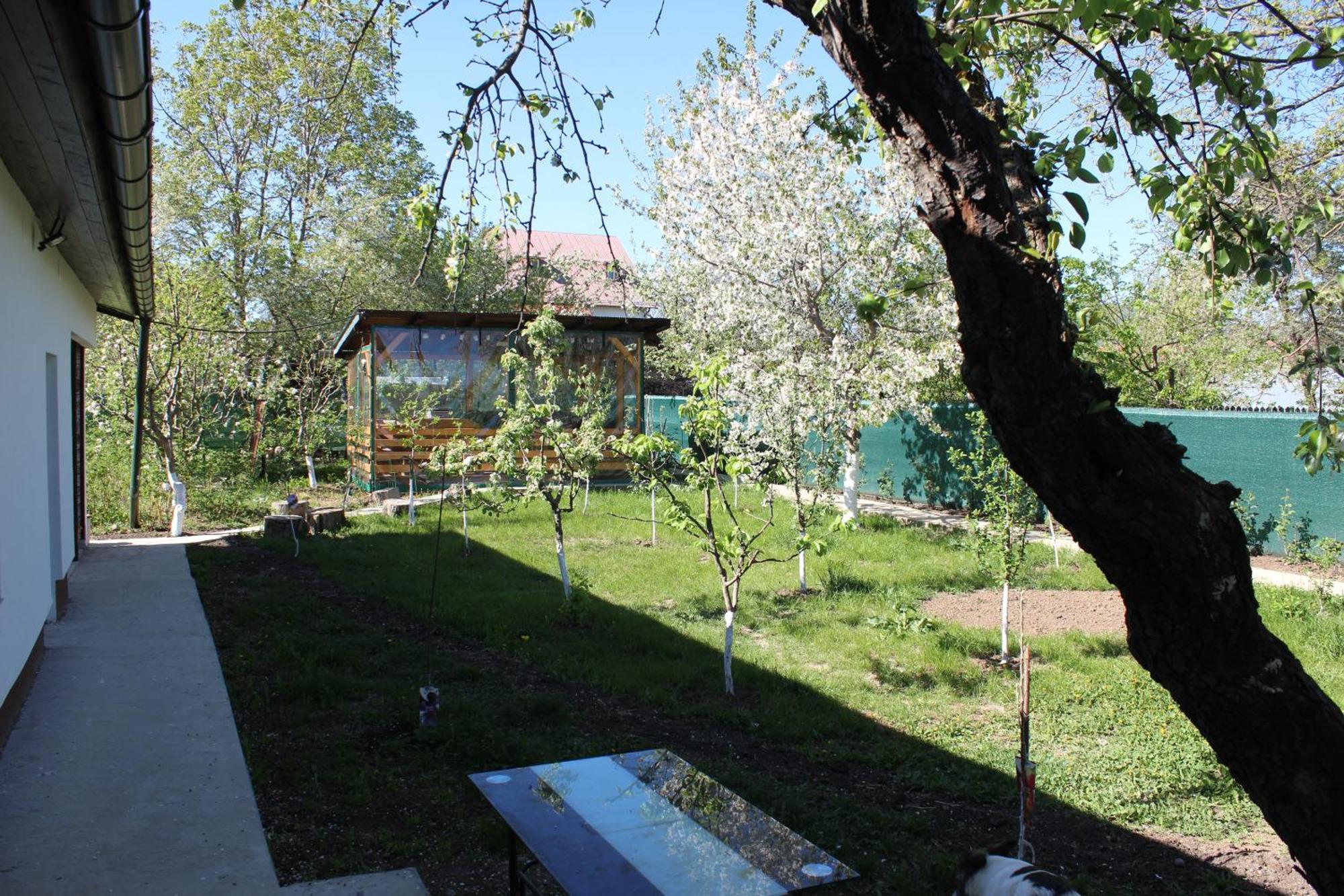 Casuta Artistilor Villa Breáza Kültér fotó