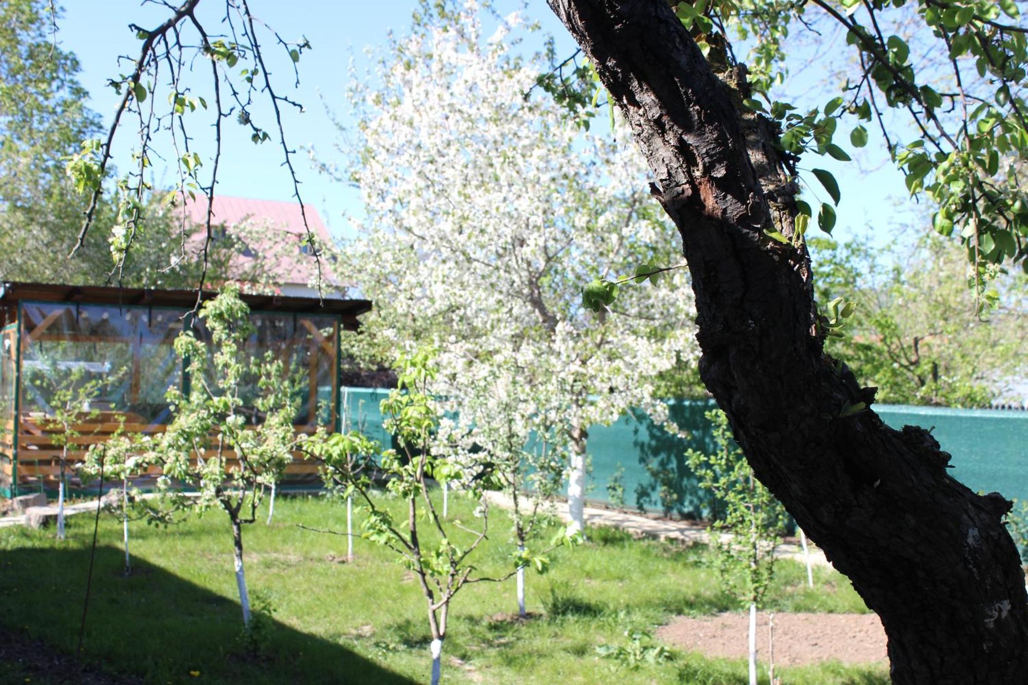 Casuta Artistilor Villa Breáza Kültér fotó
