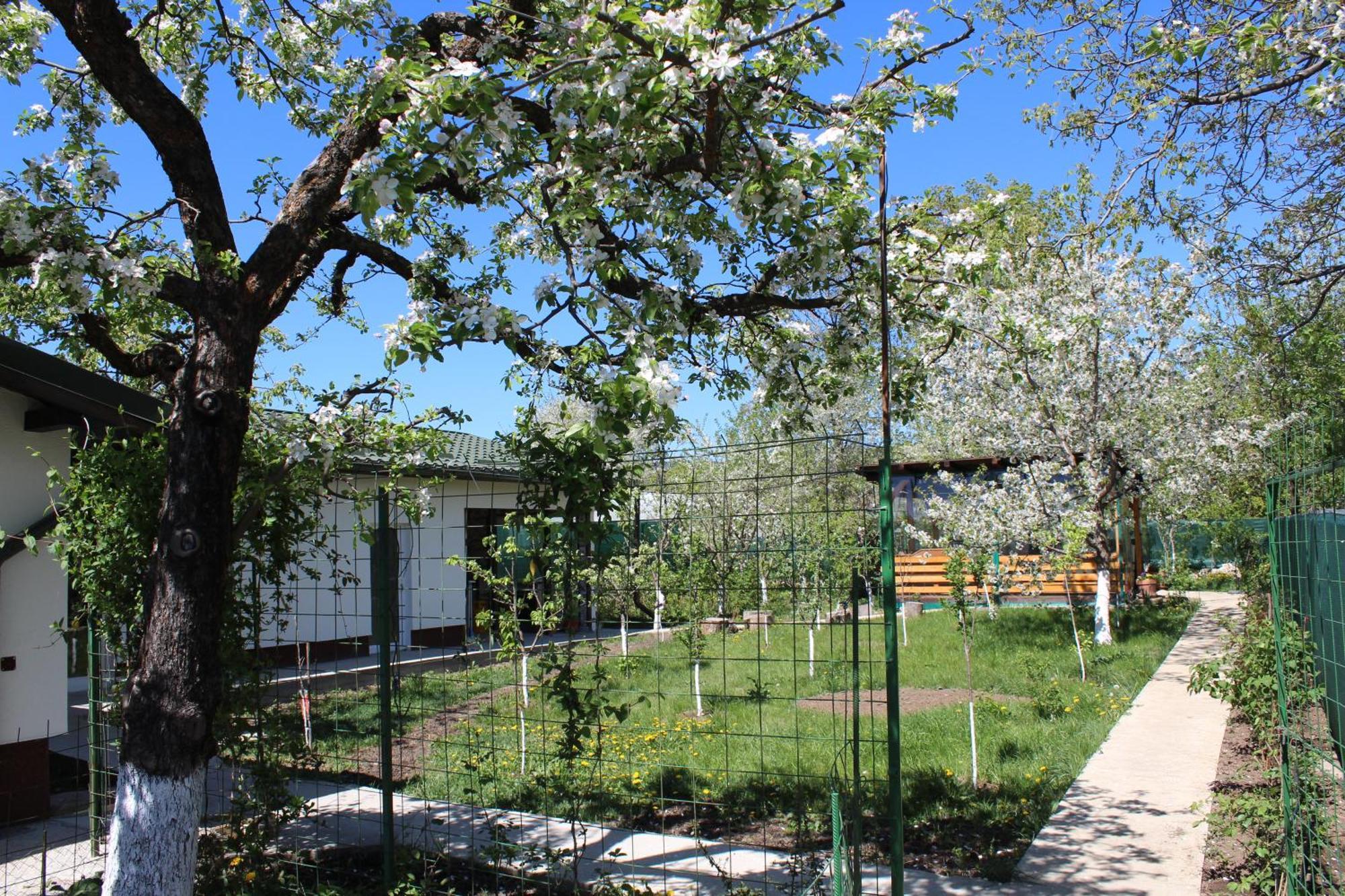Casuta Artistilor Villa Breáza Kültér fotó